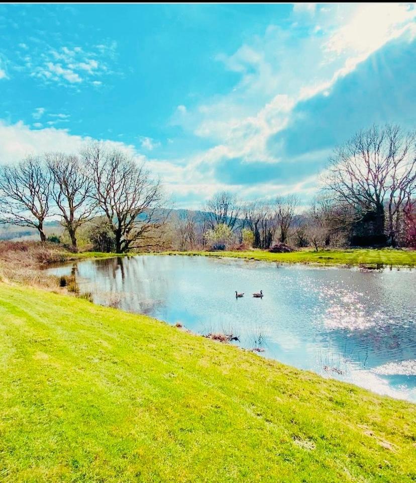 The Farmhouse Swansea Bagian luar foto